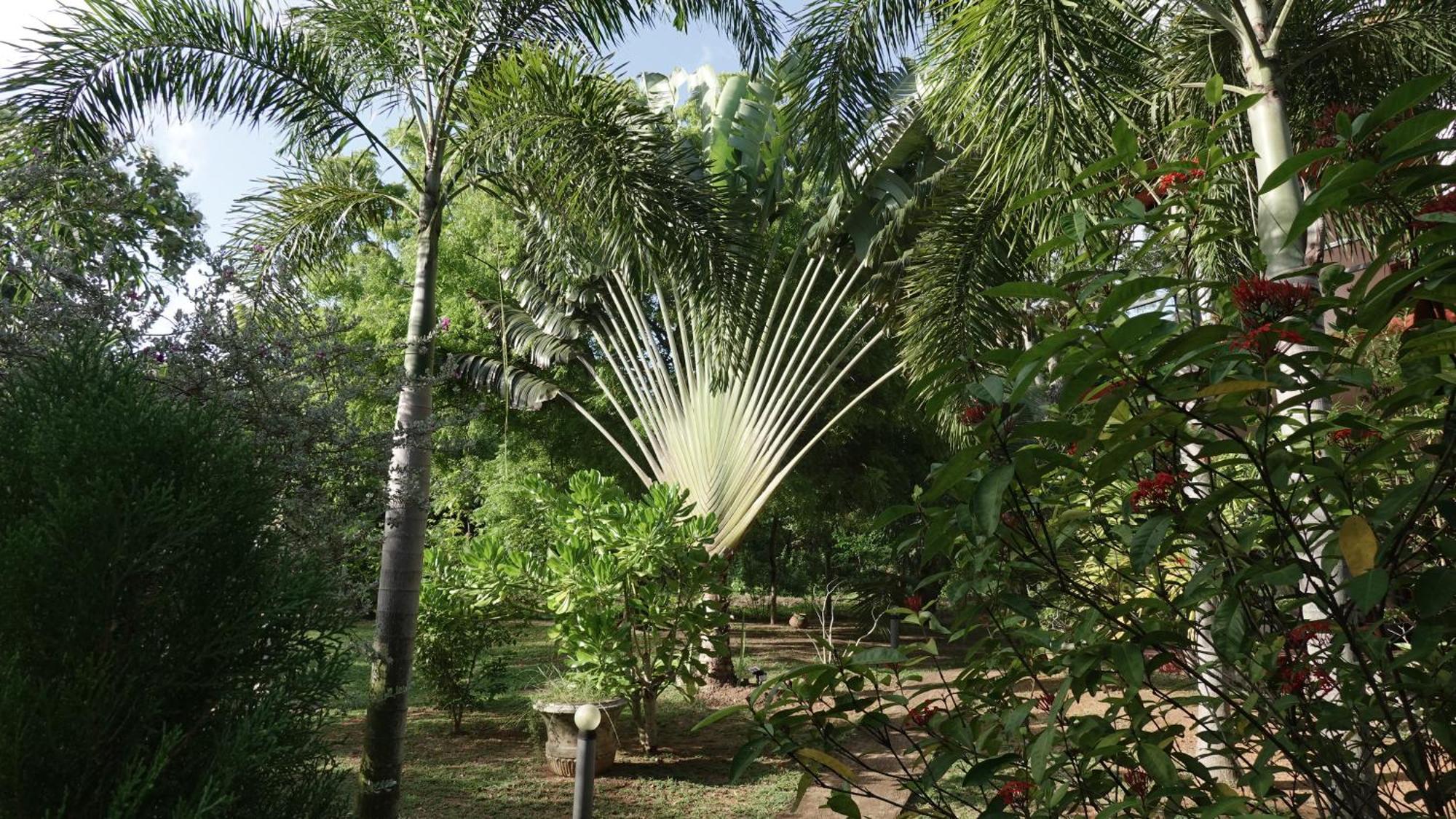 Salt Lake Cabanas & Restaurant Tangalle Eksteriør billede